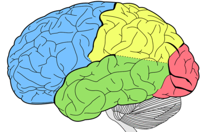 Importance of Mental Health